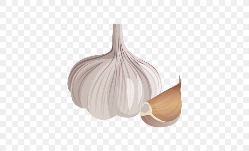 Garlic Plant Allium Onion Vegetable, PNG, 500x500px, Garlic, Allium, Food, Onion, Plant Download Free