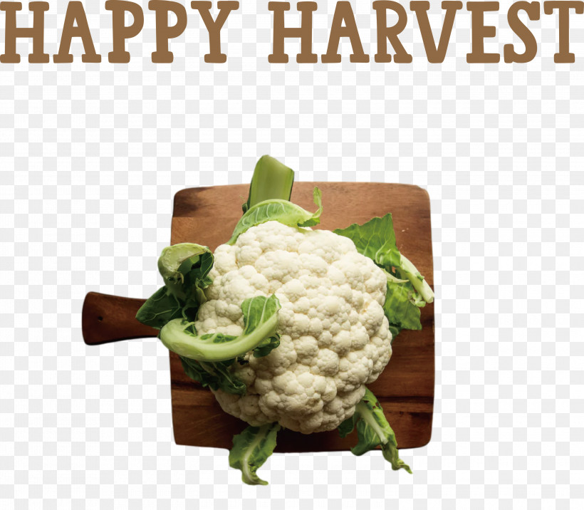 Happy Harvest Harvest Time, PNG, 3000x2620px, Happy Harvest, Cabbages, Cauliflower, Cooking, Dietary Fiber Download Free