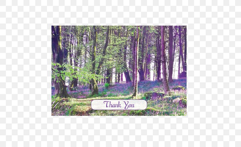 Snowdrops In The Shade Common Bluebell Wallet Union Wood Printing, PNG, 500x500px, Snowdrops In The Shade, Bayou, Bead, Biome, Branch Download Free