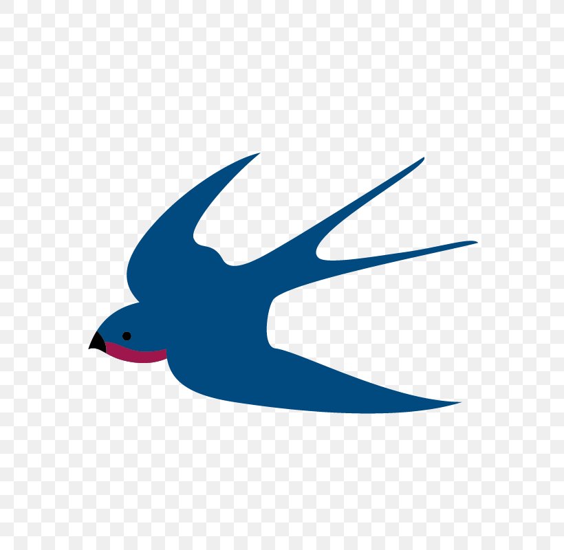 Swallow Design Image Bird, PNG, 800x800px, Swallow, Beak, Bird, Cartoon, Color Download Free