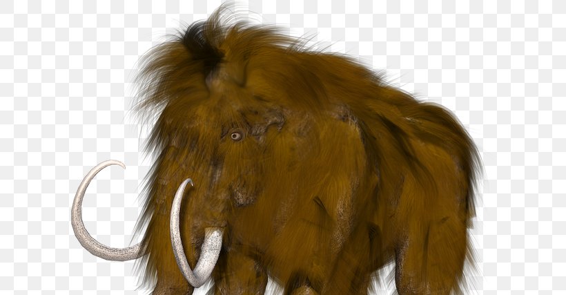 Woolly Mammoth Extinction African Elephant Far Cry Primal, PNG, 640x427px, Woolly Mammoth, African Elephant, Animal, Asian Elephant, Big Cats Download Free