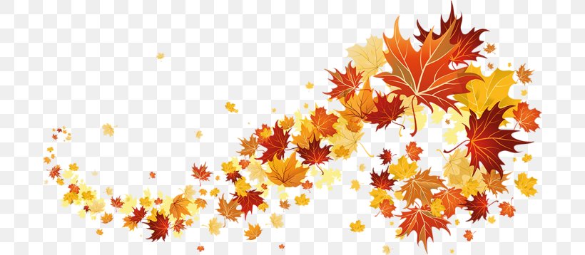 Autumn Clip Art, PNG, 700x358px, Autumn, Autumn Leaf Color, Branch, Display Resolution, Flowering Plant Download Free