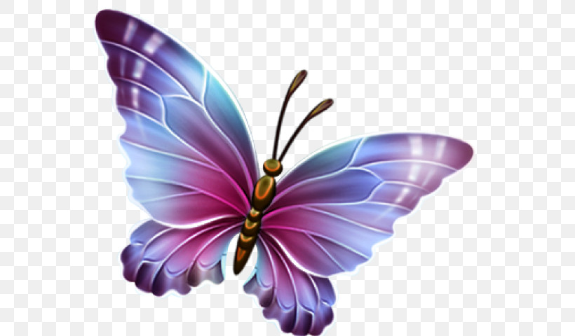 Butterfly Insect Moths And Butterflies Purple Violet, PNG, 640x480px, Butterfly, Insect, Moths And Butterflies, Petal, Pink Download Free