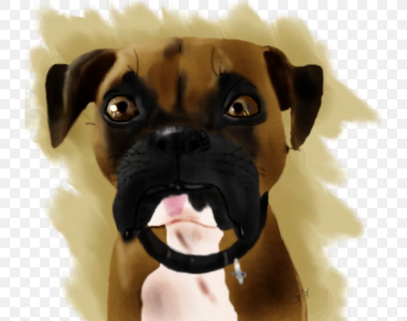 Puggle Boxer Puppy Dog Breed, PNG, 720x648px, Puggle, Boxer, Breed, Carnivoran, Collar Download Free