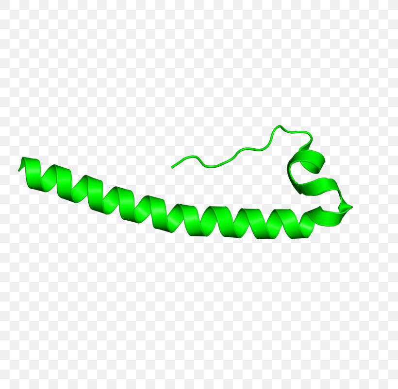 Line Clip Art, PNG, 800x800px, Protein, Green, Text Download Free