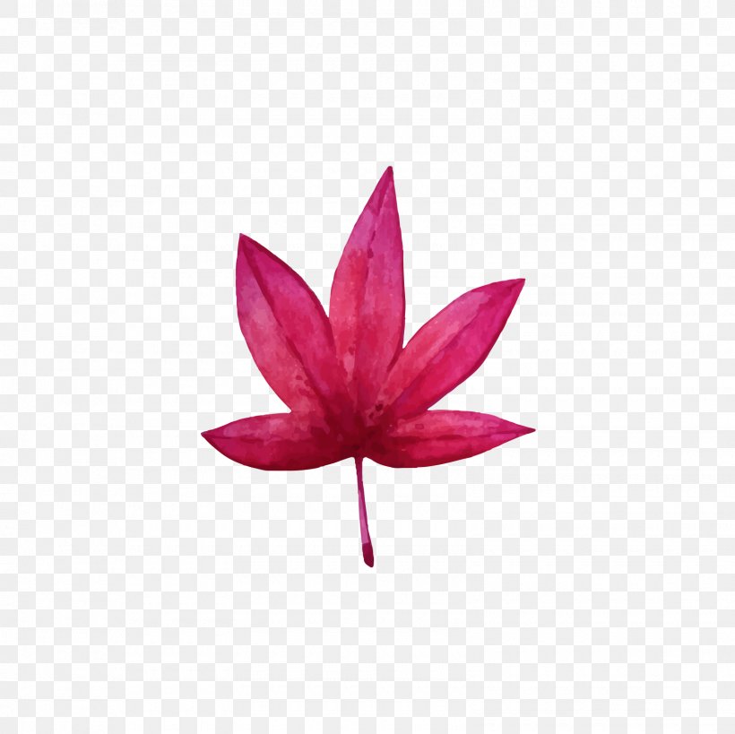 Red Maple Leaf Watercolor Painting Drawing, PNG, 1600x1600px, Red Maple, Art, Deciduous, Drawing, Flower Download Free