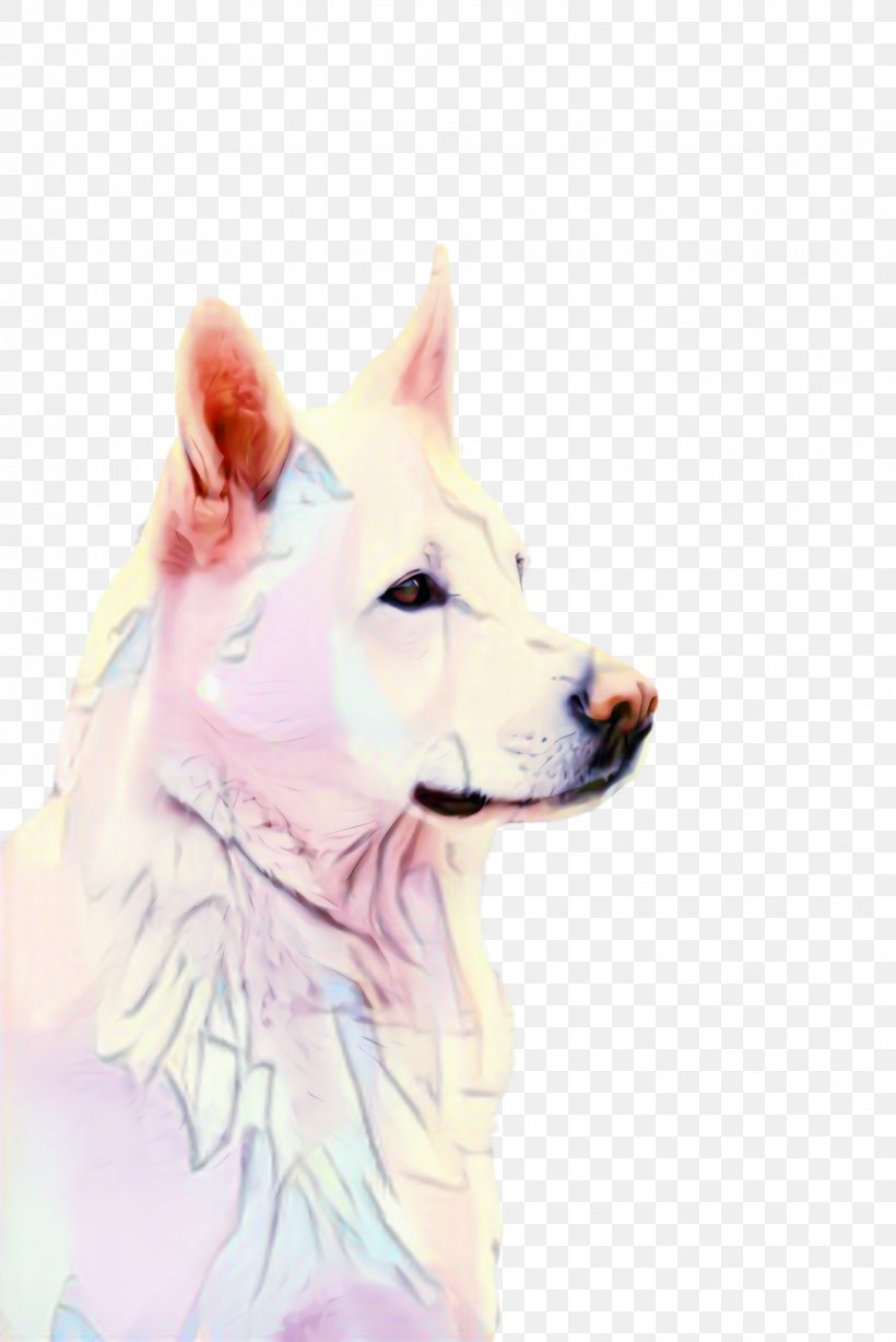 Cute Dog Png 1632x2445px Cute Dog Affenpinscher Akita Ancient Dog Breeds Animal Download Free