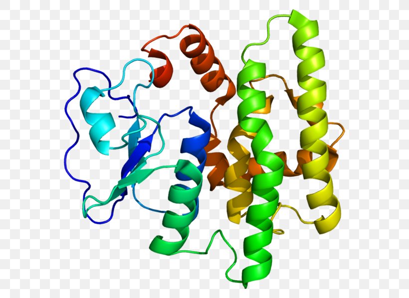 Glutathione S-transferase Human Genome Project GSTO1, PNG, 600x598px, Glutathione Stransferase, Area, Artwork, Ensembl, Enzyme Download Free