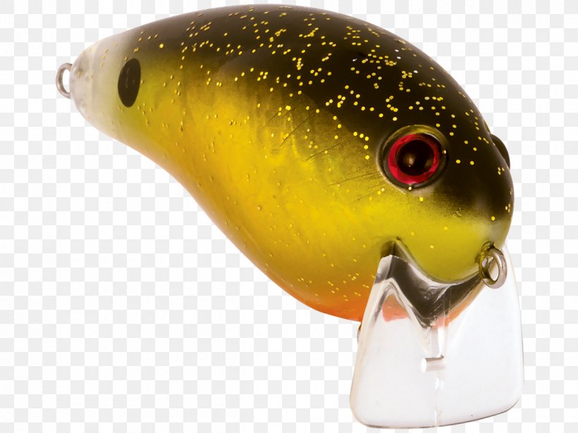 Gold Digger Seawater Color Salt Fishing Baits & Lures, PNG, 1200x900px, Gold Digger, Ac Power Plugs And Sockets, Bait, Beak, Color Download Free
