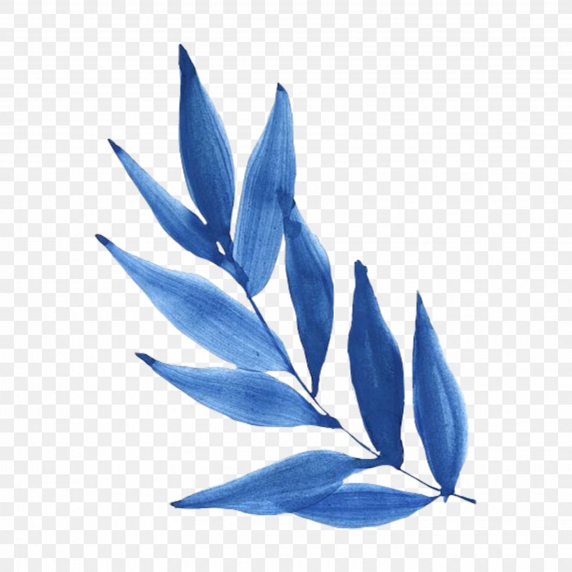 Leaf Blue Plant Flower Perennial Plant, PNG, 3464x3464px, Leaf, Blue, Flower, Perennial Plant, Plant Download Free
