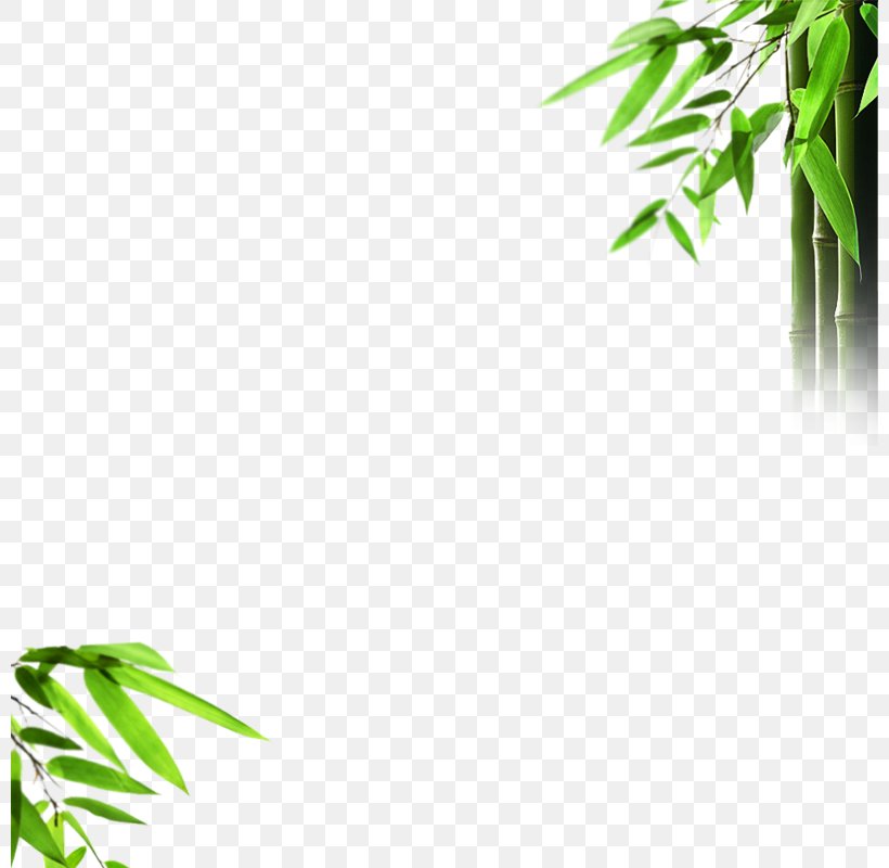 Light Bamboo Mural Wallpaper, PNG, 800x800px, Light, Bamboo, Diffuser, Grass, Green Download Free