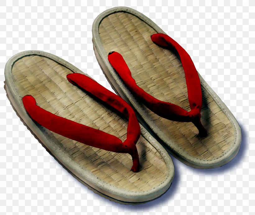 Shareholder Flip-flops Publicly Listed Company Slipper, PNG, 2386x2007px, Share, Beige, Cooperative, Flipflops, Footwear Download Free