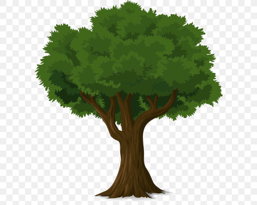 Tree Vector Graphics Image Illustration Trunk, PNG, 600x653px, Tree, Arborist, Bark, Branch, Flowerpot Download Free