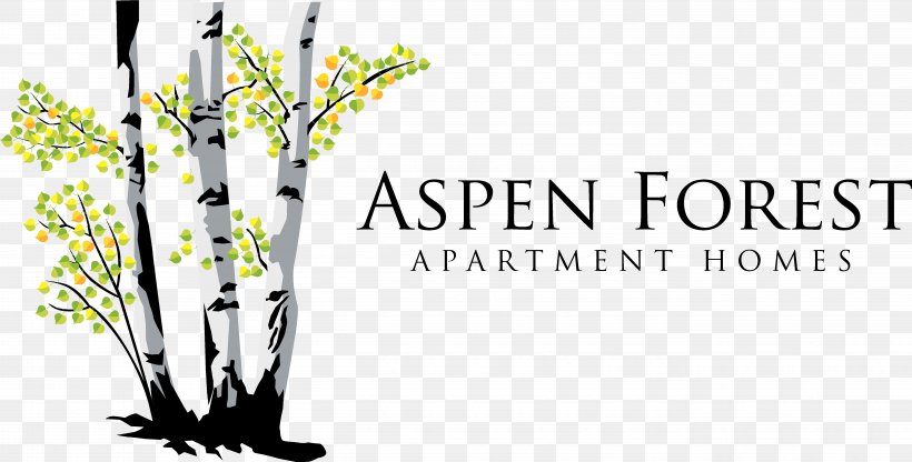 Adplanet Creative Logo Graphic Design Image, PNG, 5455x2774px, Logo, Aspen, Branch, Brand, Flora Download Free