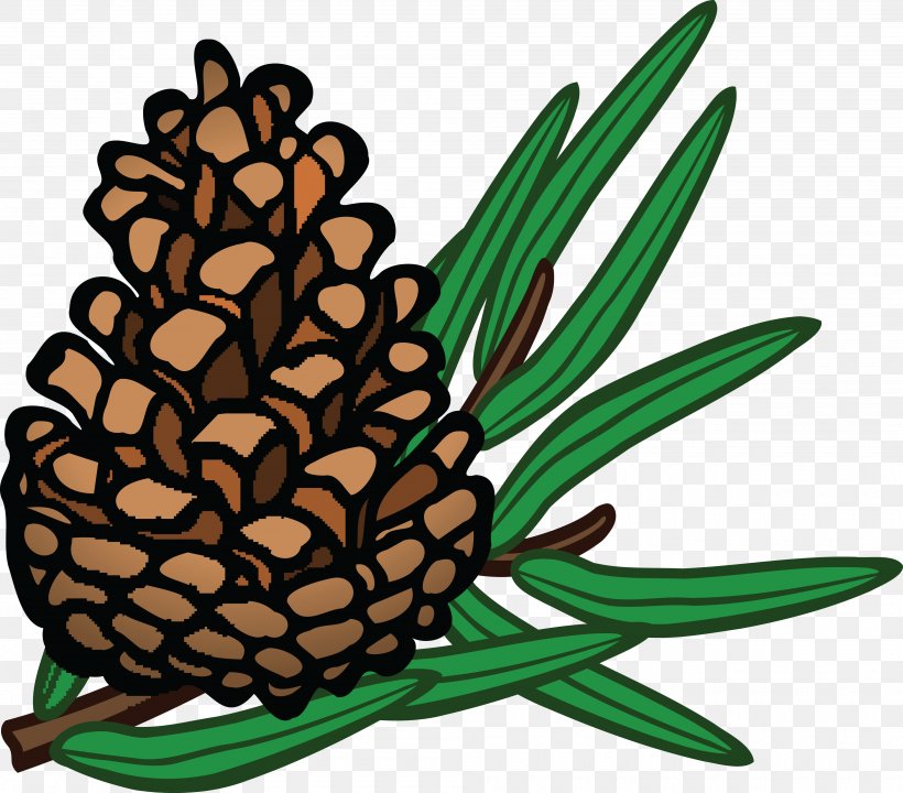 Conifer Cone Conifers Coulter Pine Clip Art, PNG, 4000x3514px, Conifer Cone, Ananas, Artwork, Commodity, Cone Download Free