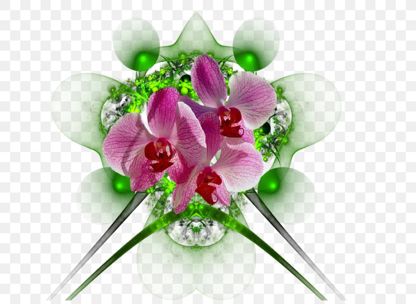 Floral Design Cut Flowers Flower Bouquet, PNG, 800x600px, Floral Design, Cut Flowers, Flora, Floristry, Flower Download Free