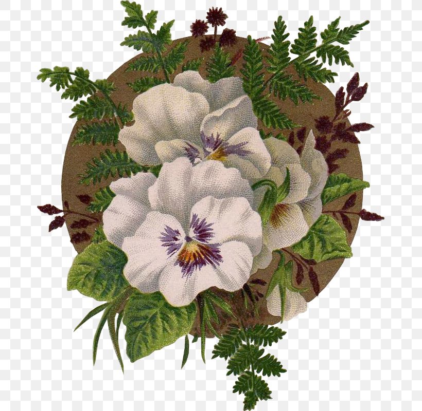 Pansy Flower Floral Design Seed Painting, PNG, 677x800px, Pansy, Annual Plant, Blume, Floral Design, Floristry Download Free