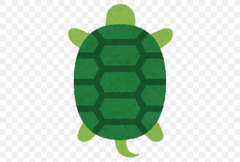 Tortoise, PNG, 553x553px, Tortoise, Grass, Green, Plant, Reptile Download Free