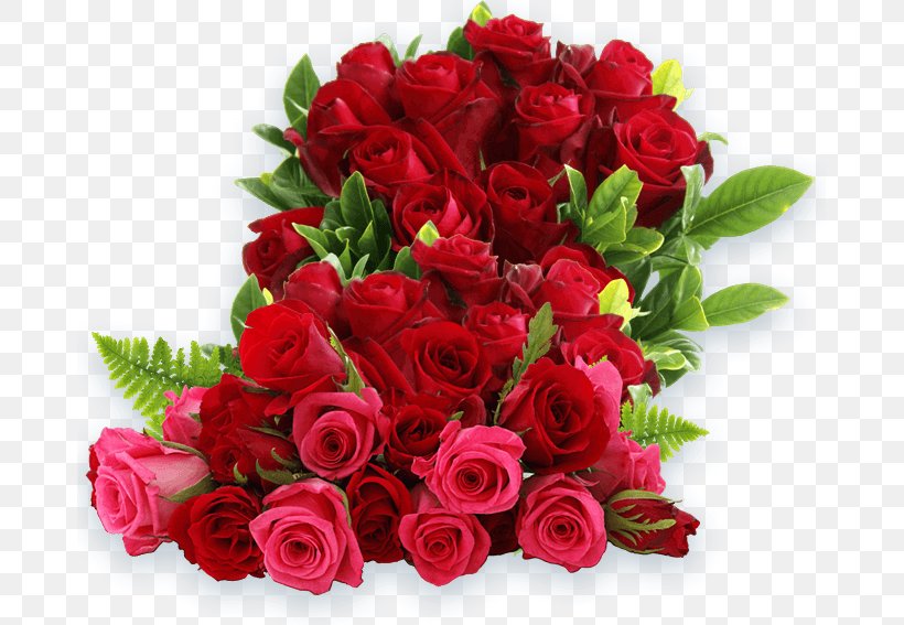 Valentine's Day Image Psd Greeting Wish, PNG, 679x567px, Greeting, Cut Flowers, Floral Design, Floribunda, Floristry Download Free