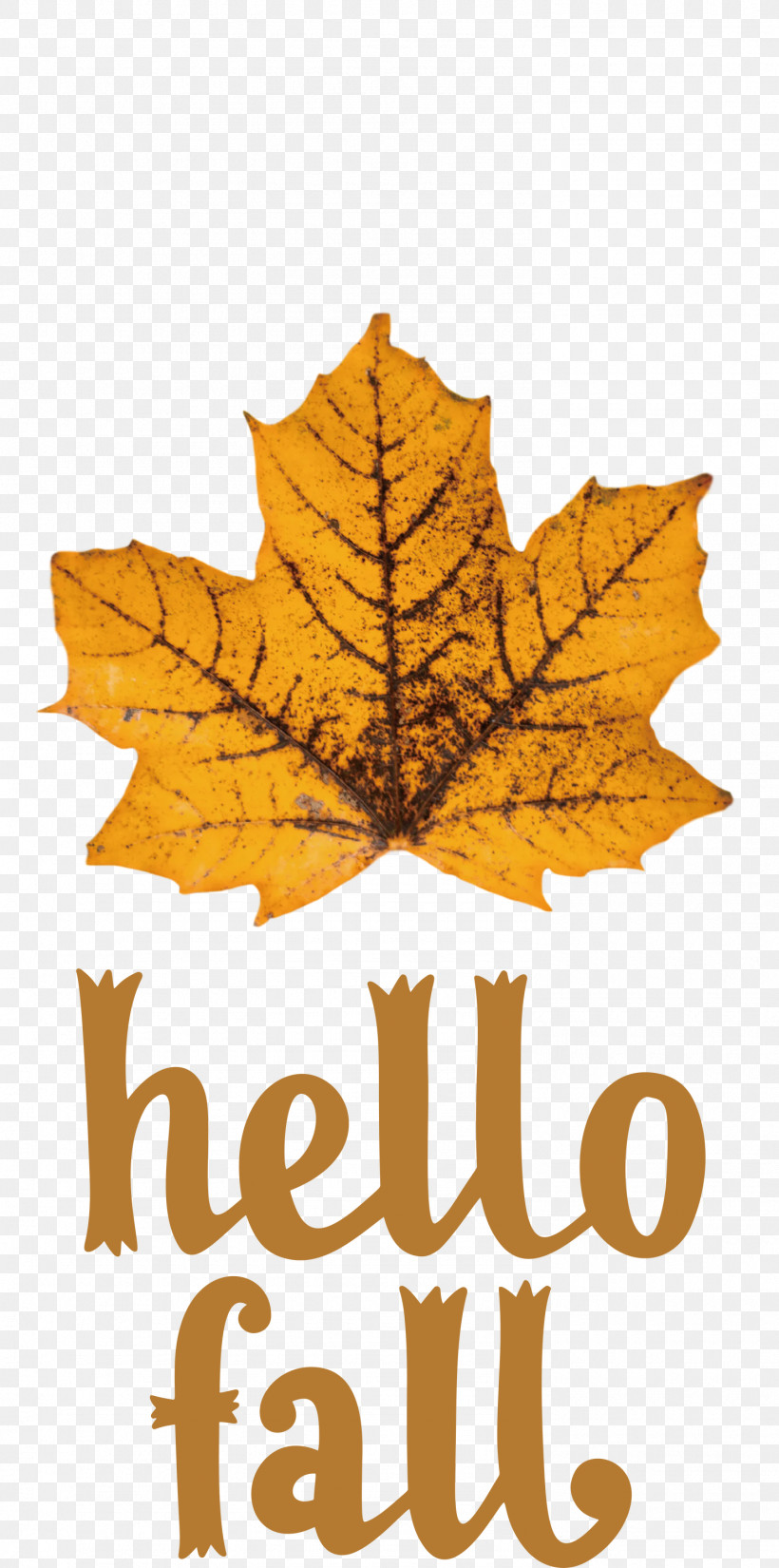 Hello Fall Fall Autumn, PNG, 1490x2999px, Hello Fall, Autumn, Autumn Wreath, Craft, Fall Download Free