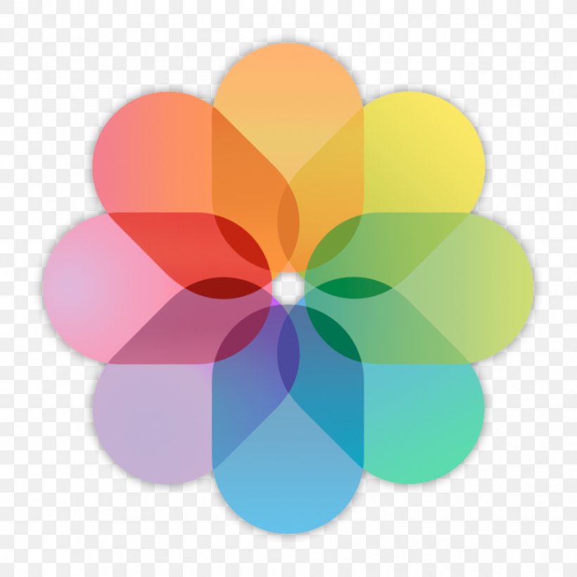 Apple Photos ICloud, PNG, 894x894px, Apple Photos, App Store, Flower, Icloud, Ios 7 Download Free