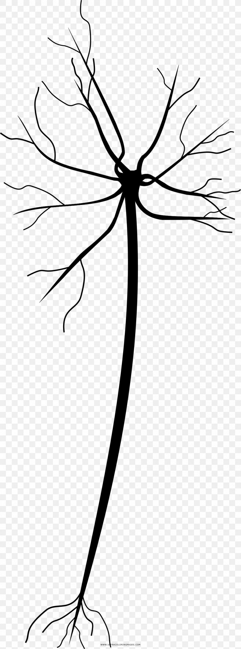 Drawing Neuron Coloring Book Line Art Painting, PNG, 1000x2691px, Drawing, Artwork, Black And White, Book, Branch Download Free