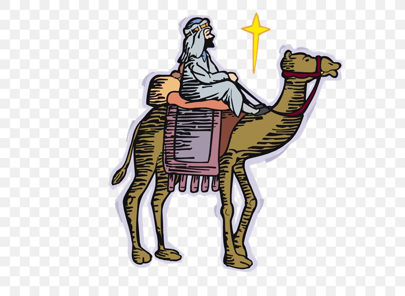 Dromedary Equestrian, PNG, 800x600px, Dromedary, Animaatio, Animal, Arabian Camel, Camel Download Free