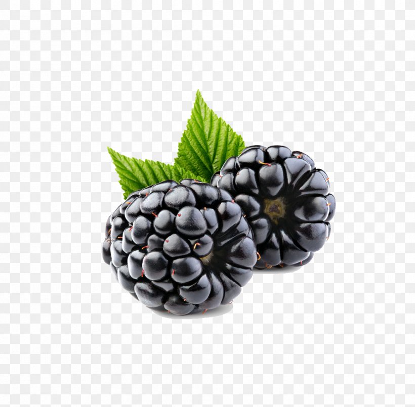 Frutti Di Bosco Raspberry Blueberry Blackberry Fruit, PNG, 1062x1043px, Blackberry, Berry, Food, Fruit, Photography Download Free
