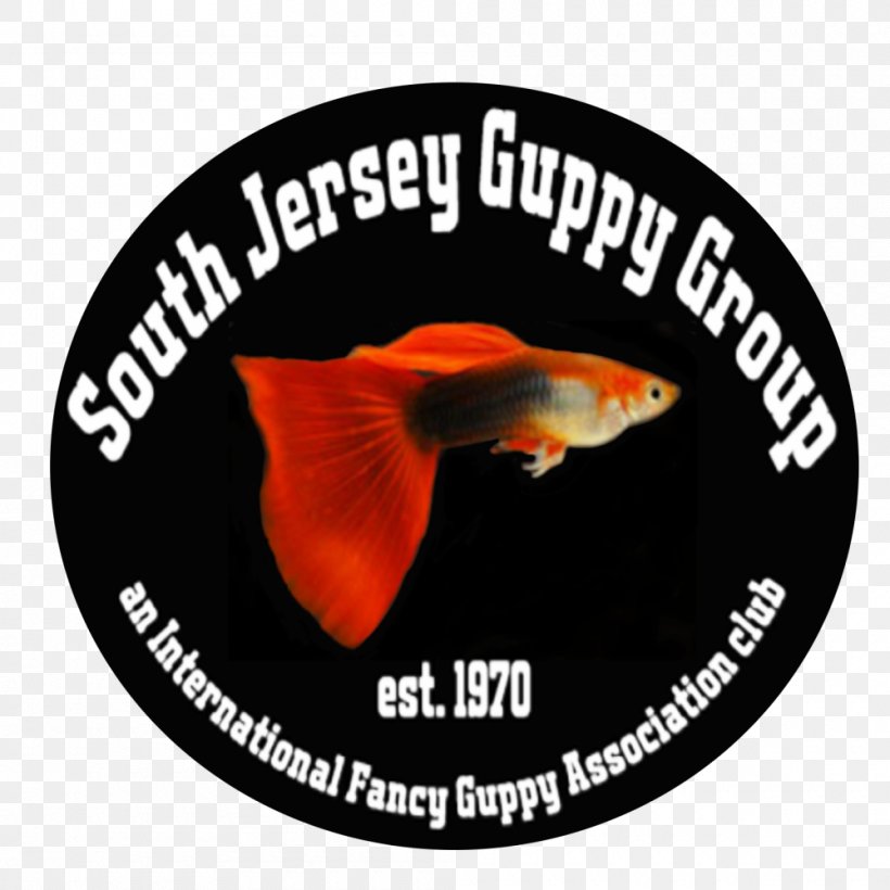 Guppy 2018 NEC Tropical Fish Convention Cichlid 0, PNG, 1000x1000px, 2018, Guppy, Aquascaping, August, Cichlid Download Free