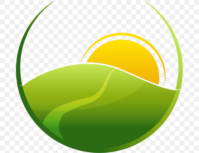 Icon, PNG, 687x631px, Sunrise, Ball, Designer, Football, Grass Download Free
