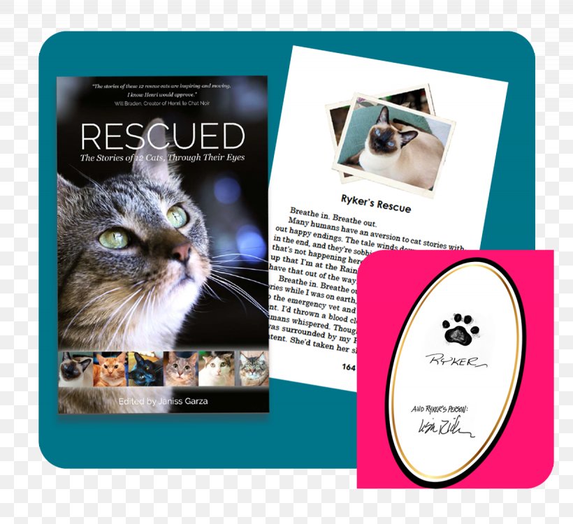 Rescued: The Stories Of 12 Cats, Through Their Eyes Whiskers Tonkinese Cat Mouse Kitten, PNG, 1230x1126px, Whiskers, Advertising, Book, Brand, Cat Download Free