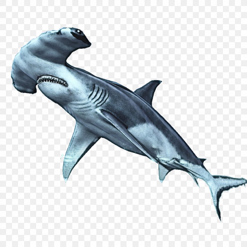 Shark, PNG, 1024x1024px, Fish, Animal Figure, Carcharhiniformes, Cartilaginous Fish, Fin Download Free