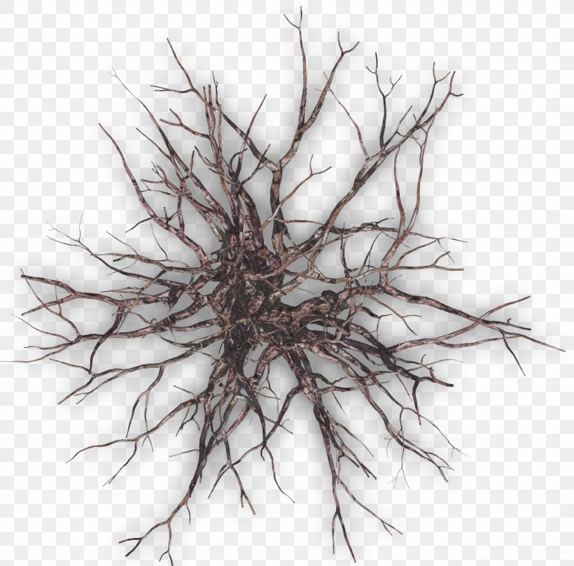Tree Twig Plant Branch, PNG, 1209x1194px, Tree, Black And White, Branch, Computer Software, Death Download Free
