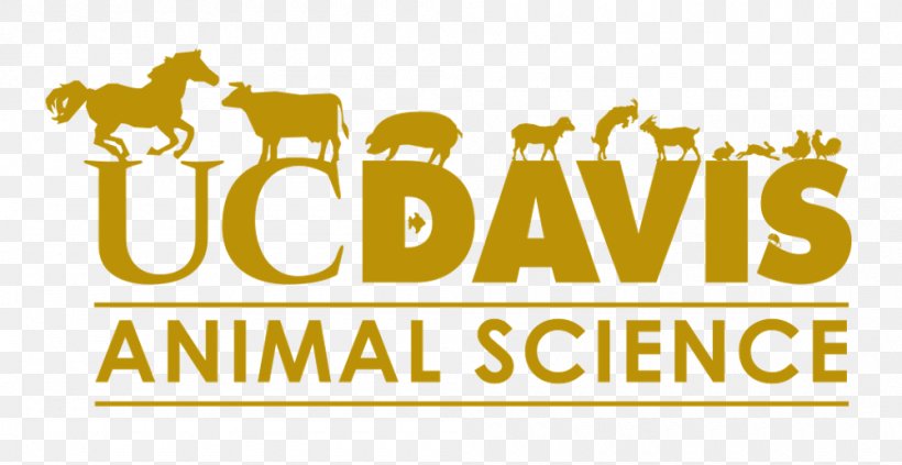 UC Davis Animal Science Horse Barn UC Davis Department Of Animal Science Research, PNG, 1000x516px, Horse, Animal, Animal Science, Area, Brand Download Free