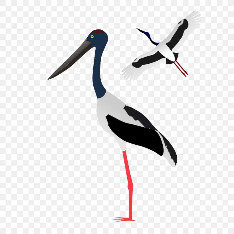 White Stork Clip Art, PNG, 1024x1024px, White Stork, Beak, Bird, Black Stork, Ciconiiformes Download Free