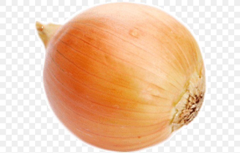 Yellow Onion Shallot Red Onion, PNG, 600x522px, Yellow Onion, Amaya, Archive File, Bulb, Food Download Free