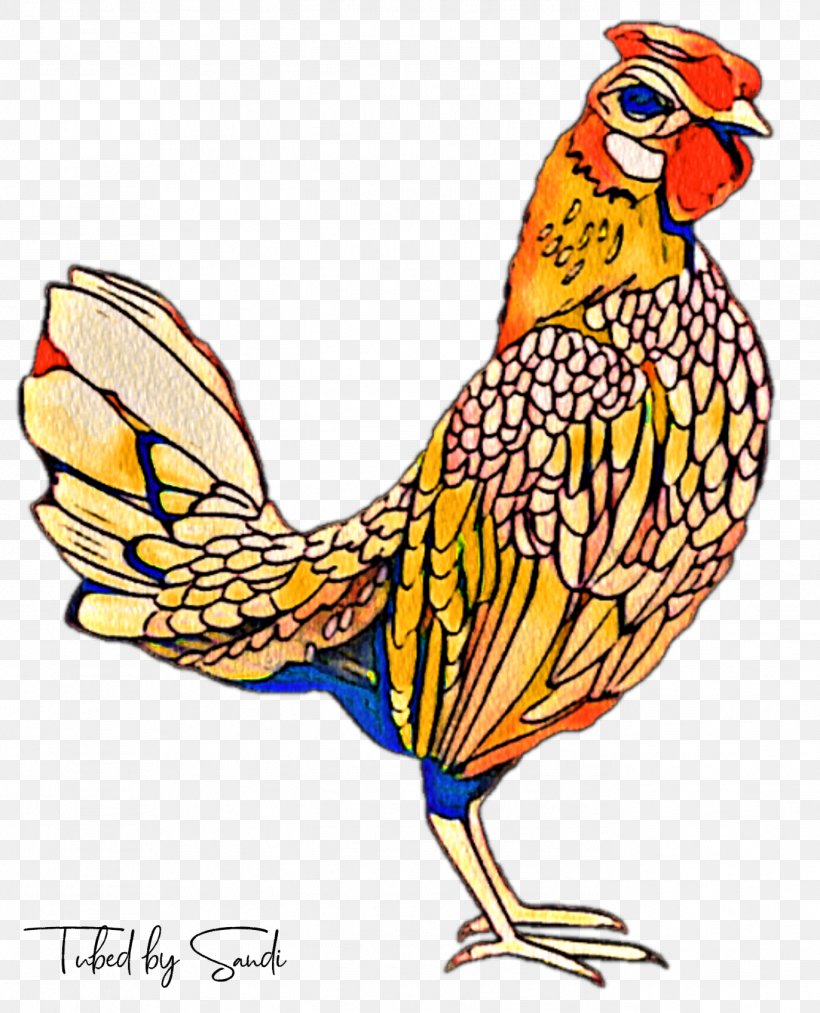 Chicken Cartoon, PNG, 1372x1696px, Rooster, Beak, Bird, Chicken, Comb Download Free