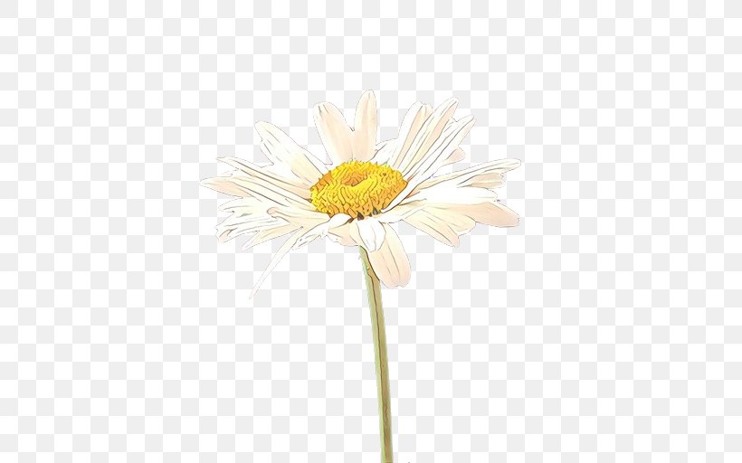 Chrysanthemum Oxeye Daisy Transvaal Daisy Cut Flowers Dandelion, PNG, 512x512px, Chrysanthemum, Aster, Asterales, Barberton Daisy, Botany Download Free