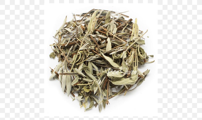 Darjeeling Tea White Tea Nilgiri Tea Mein Teekontor, PNG, 650x489px, Darjeeling Tea, Assam Tea, Bai Mudan, Baihao Yinzhen, Bancha Download Free