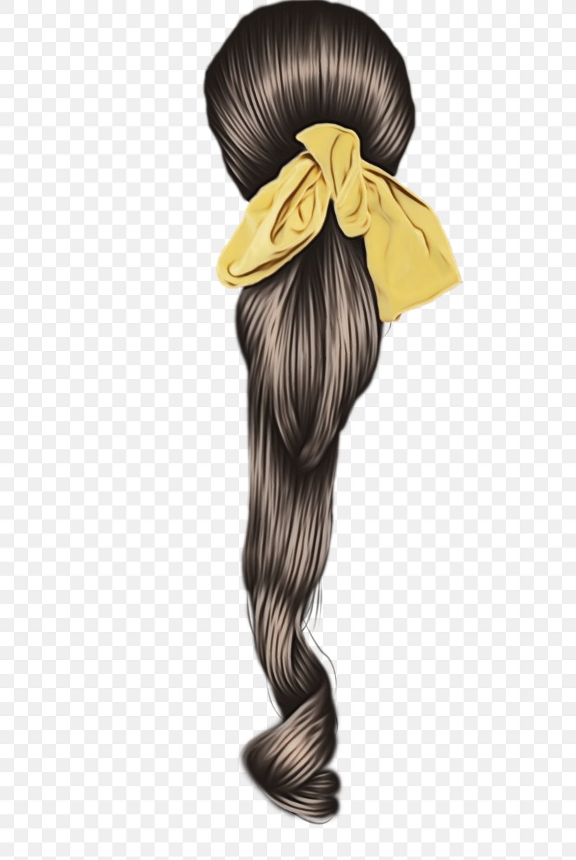 Hair Hairstyle Hair Accessory Long Hair Wig, PNG, 652x1225px, Watercolor, Black Hair, Brown Hair, Costume, Hair Download Free