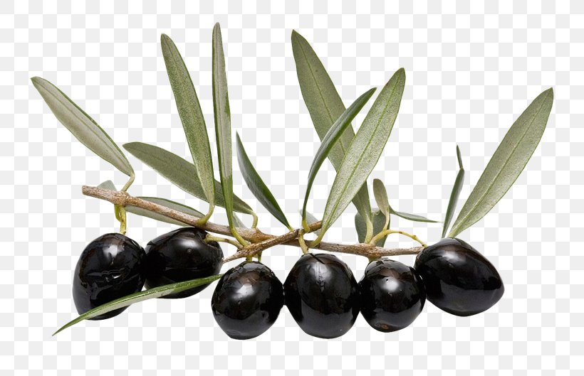 Olive Leaf Olive Oil, PNG, 800x529px, Olive, Display Resolution, Food, Fruit, Ingredient Download Free