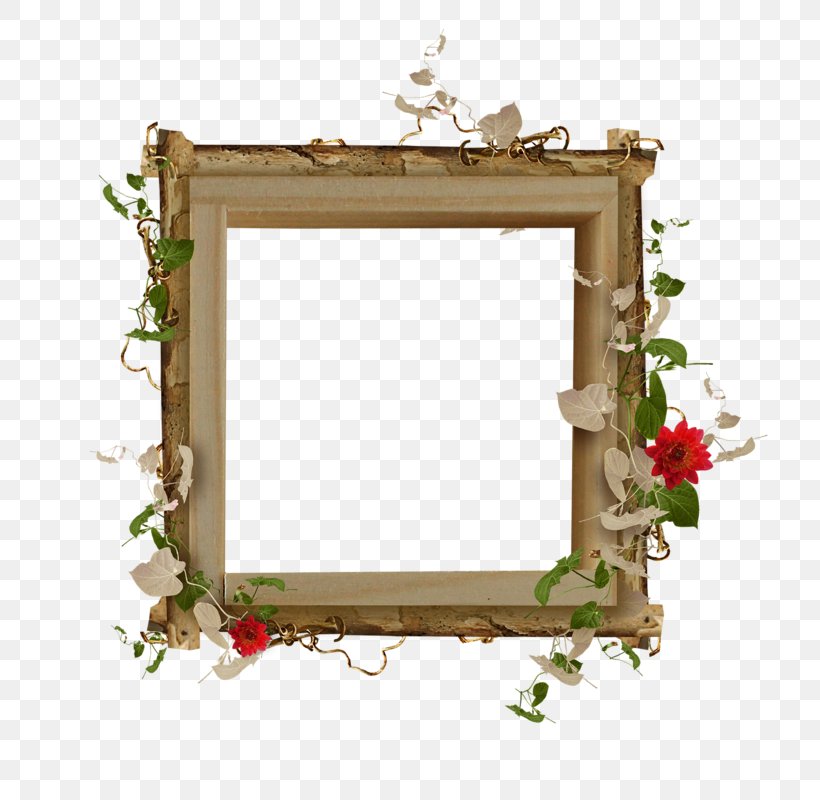 Picture Frames Photography, PNG, 800x800px, Picture Frames, Chart, Craft, Film Frame, Flower Download Free