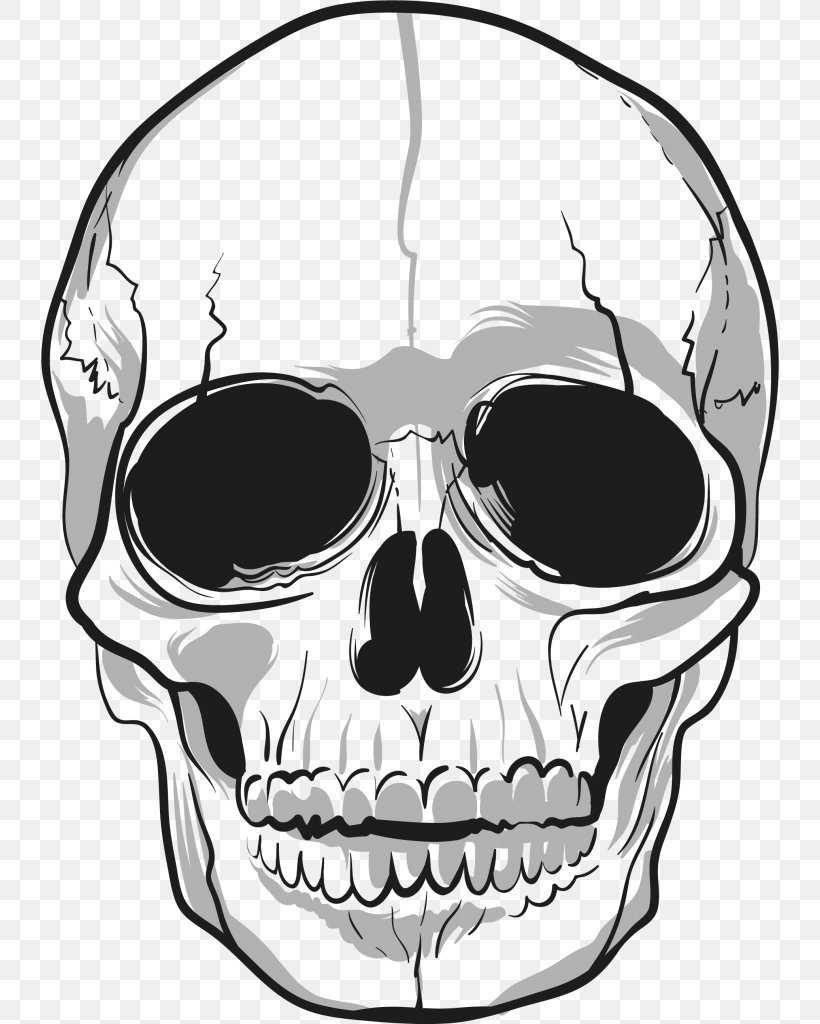 Skull Bone Clip Art, PNG, 738x1024px, Skull, Black And White, Bone, Eyewear, Face Download Free