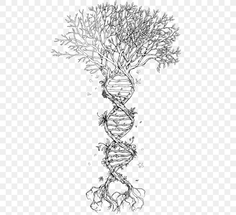 The Double Helix: A Personal Account Of The Discovery Of The Structure Of DNA Tree Nucleic Acid Double Helix Genetics, PNG, 486x750px, Dna, Area, Artwork, Biology, Black And White Download Free