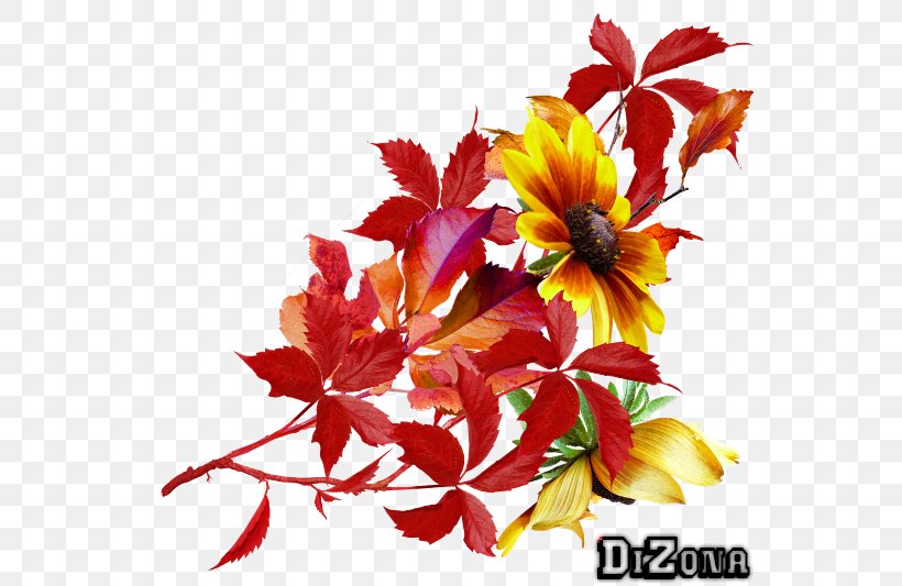 Floral Design Clip Art Image, PNG, 550x533px, Floral Design, Art, Autumn, Cut Flowers, Drawing Download Free