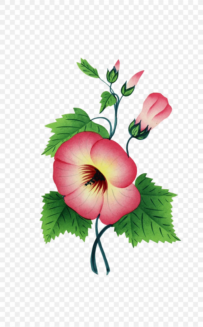 Flower, PNG, 2685x4326px, Flower, Annual Plant, Art, Cut Flowers, Drawing Download Free