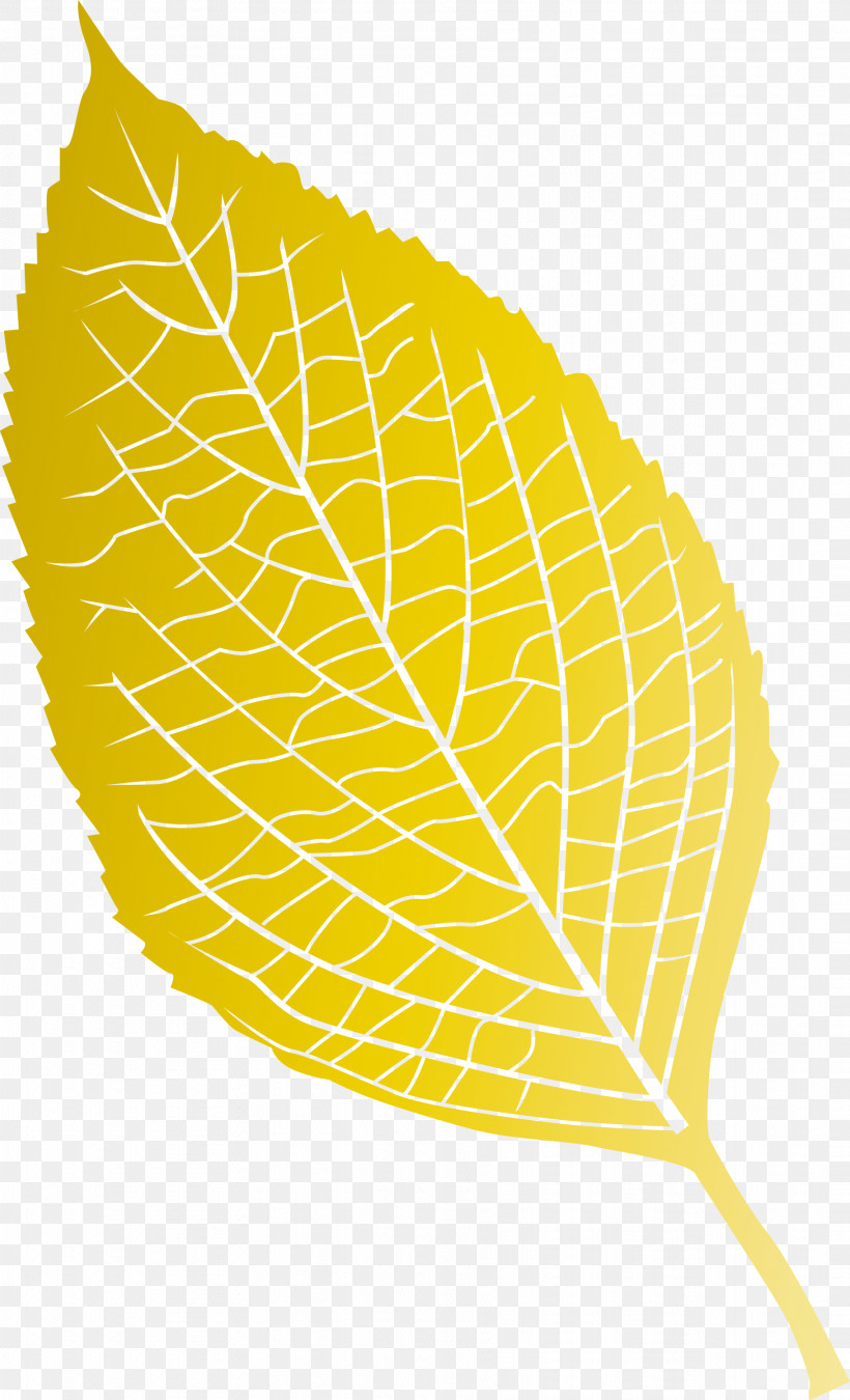 Leaf, PNG, 1821x3000px, Leaf, Biology, Fruit, Geometry, Line Download Free