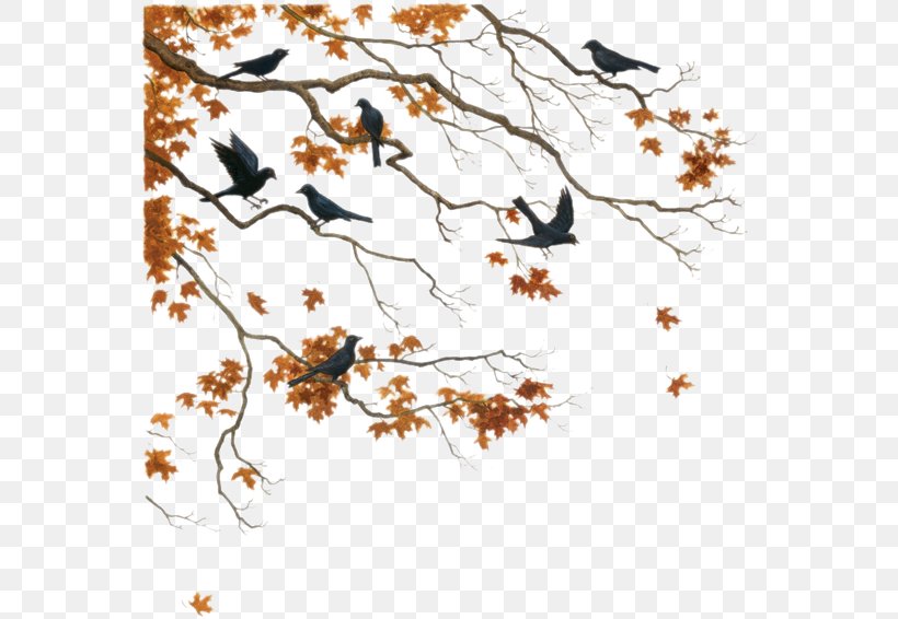 Twig Tree Painting Clip Art, PNG, 566x566px, Twig, Area, Art, Autumn, Branch Download Free