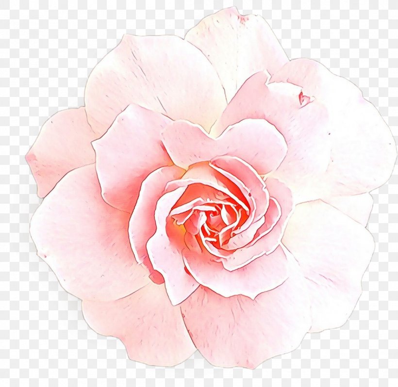 Watercolor Pink Flowers, PNG, 1159x1128px, Cartoon, Artificial Flower, Cabbage Rose, Camellia, Cut Flowers Download Free