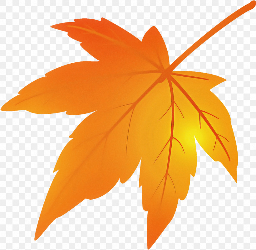 Maple Leaf Fallen Leaf Dead Leaf, PNG, 1026x1004px, Maple Leaf, Autumn Leaf, Black Maple, Dead Leaf, Deciduous Download Free